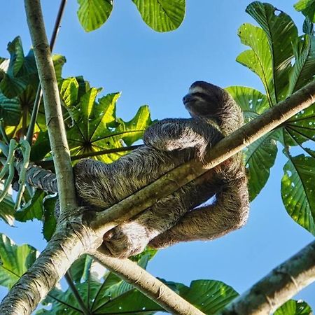 Into The Greens Madre de Dios ภายนอก รูปภาพ