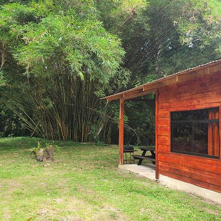 Into The Greens Madre de Dios ภายนอก รูปภาพ