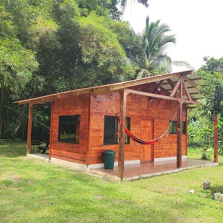 Into The Greens Madre de Dios ภายนอก รูปภาพ