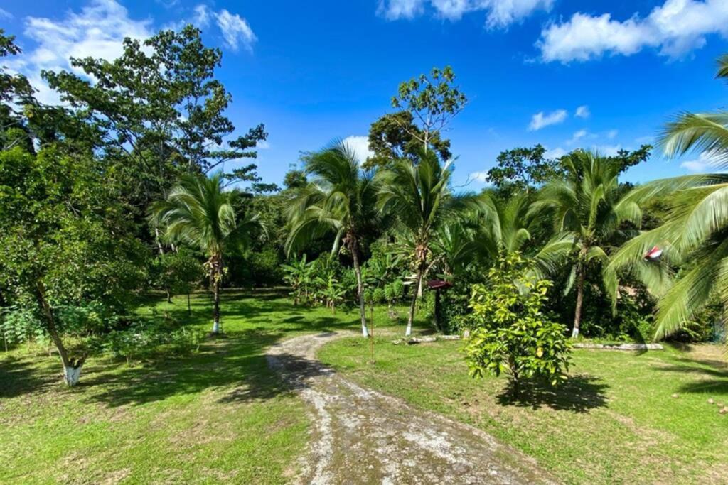 Into The Greens Madre de Dios ภายนอก รูปภาพ