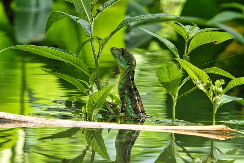 Into The Greens Madre de Dios ภายนอก รูปภาพ