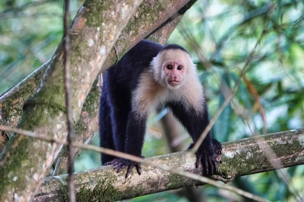 Into The Greens Madre de Dios ภายนอก รูปภาพ