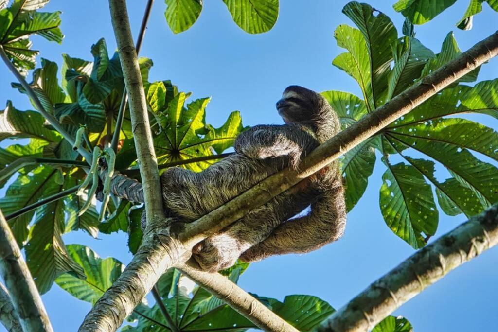 Into The Greens Madre de Dios ภายนอก รูปภาพ