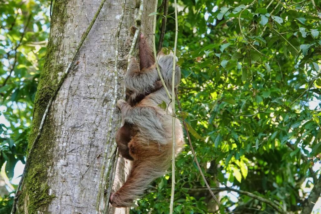 Into The Greens Madre de Dios ภายนอก รูปภาพ