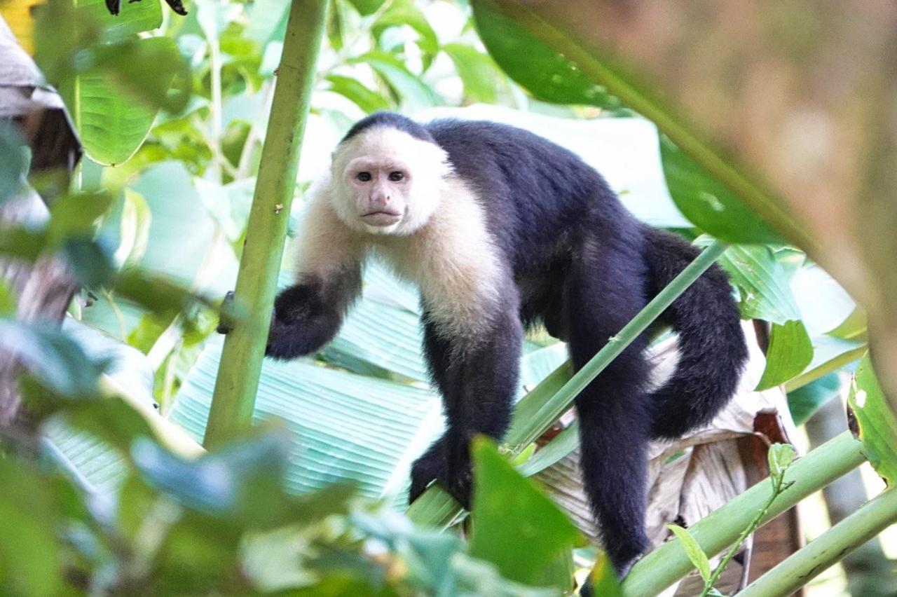 Into The Greens Madre de Dios ภายนอก รูปภาพ