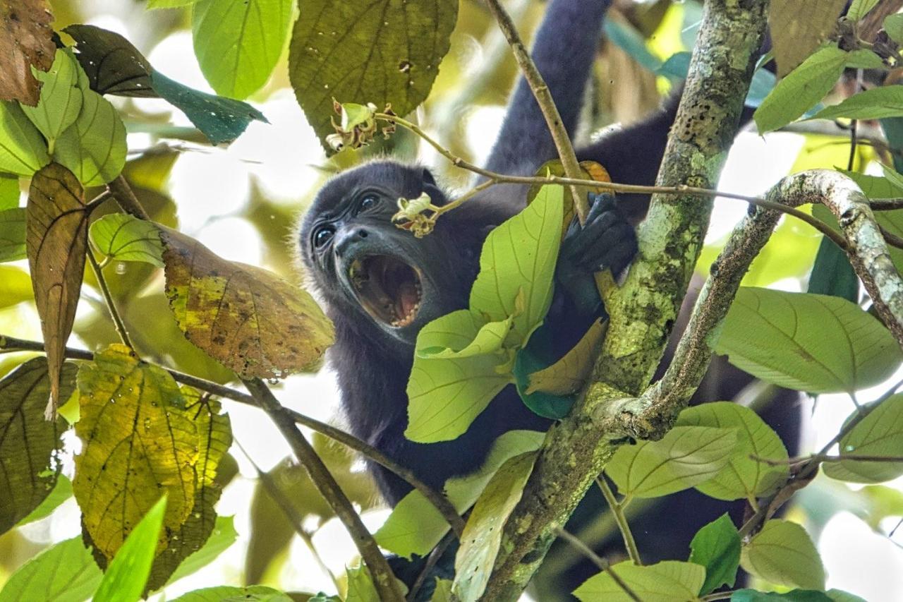 Into The Greens Madre de Dios ภายนอก รูปภาพ