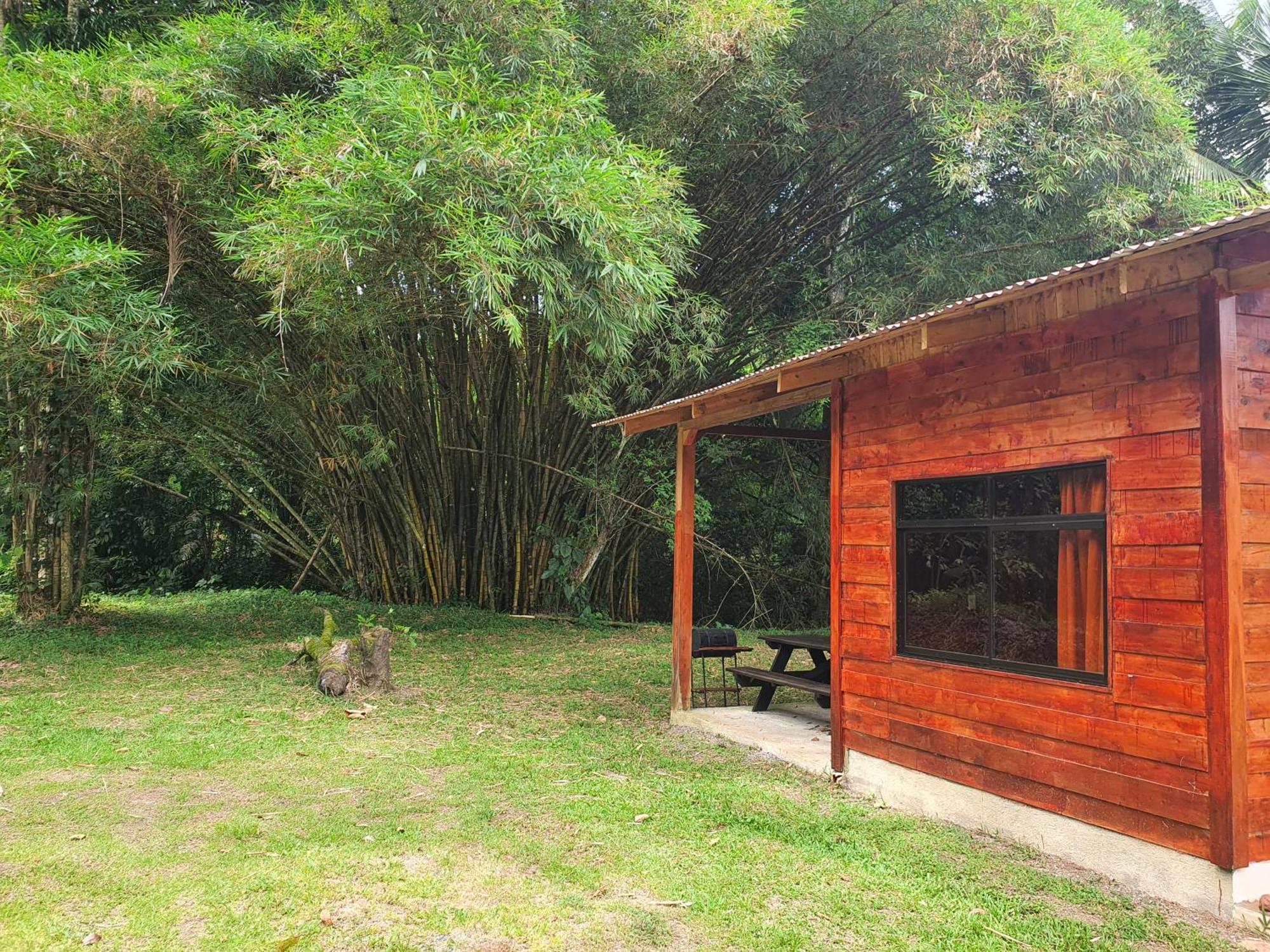 Into The Greens Madre de Dios ภายนอก รูปภาพ