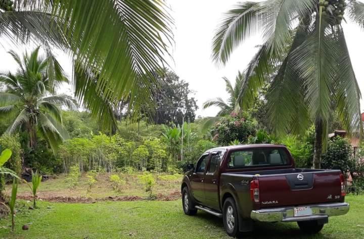 Into The Greens Madre de Dios ภายนอก รูปภาพ