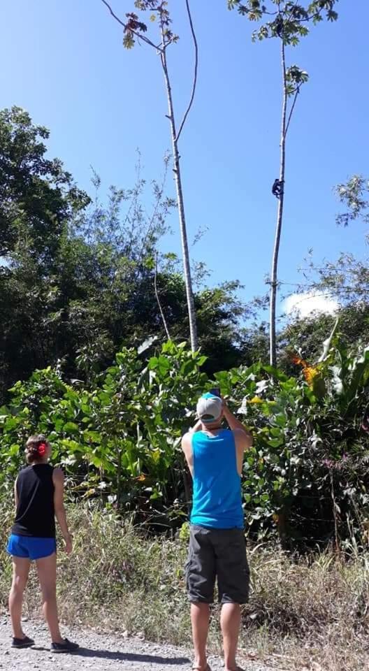Into The Greens Madre de Dios ภายนอก รูปภาพ